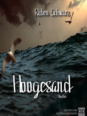 cover image of Hoogesand